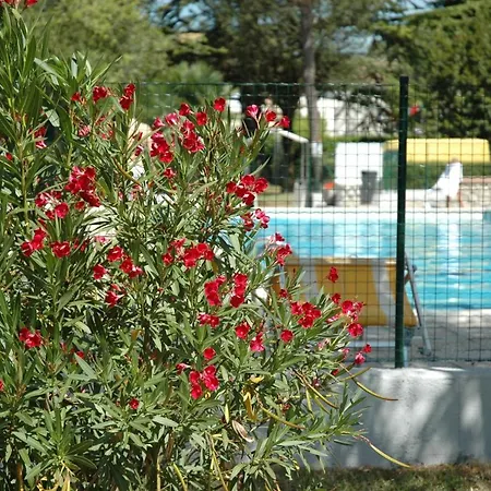 Camping Aquileia-2